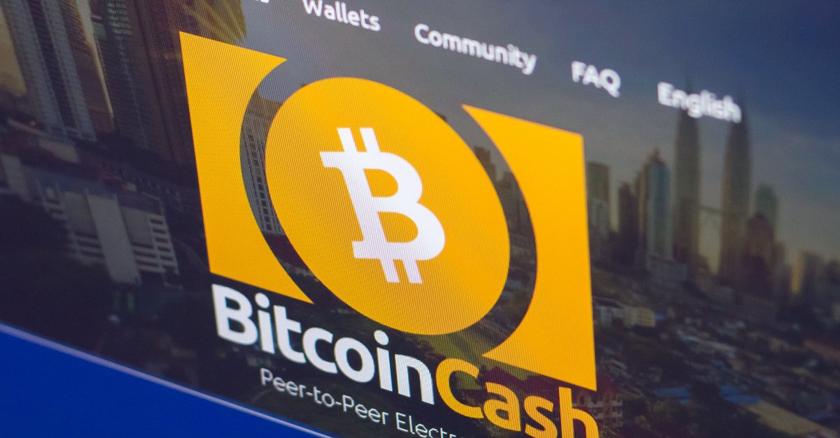 The future of bitcoin cash eggchange net отзывы