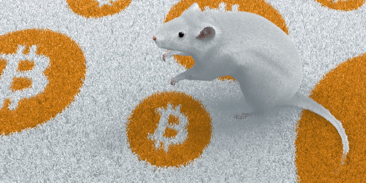 bitcoin mice