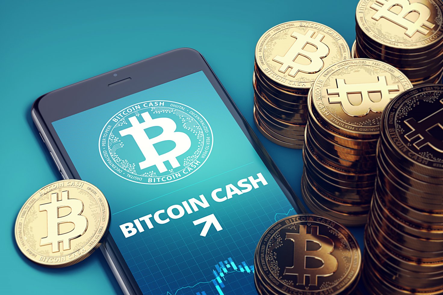 Wallet investor bitcoin cash 2021 predictions short sell bitcoins
