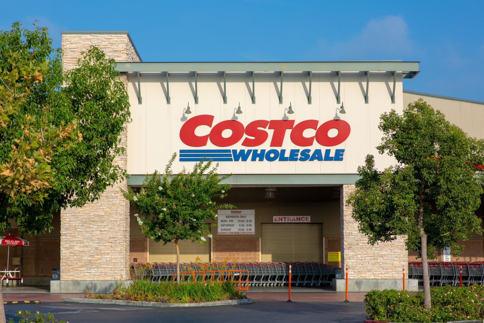 Costco company profile