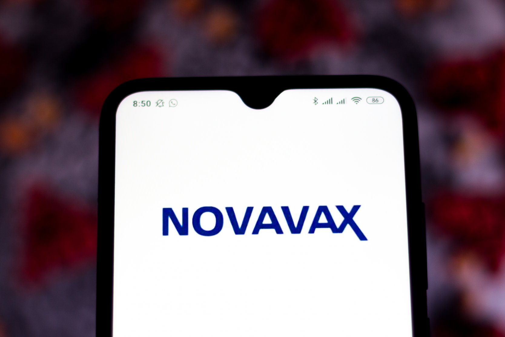 Novavax stock forecast is there going to be a cash injection?