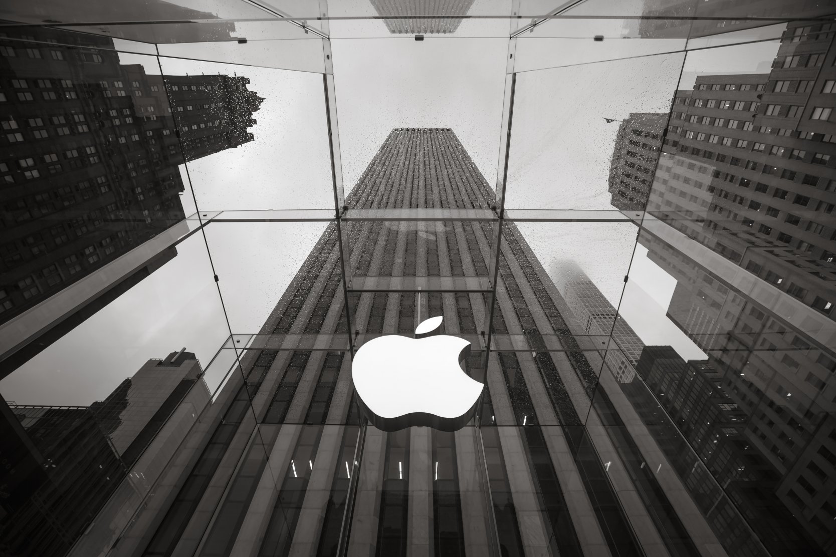 Фото apple inc