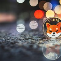 An image of a Shib Inu on the SHIB crypto coin
