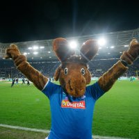 Hoffi, mascot of TSG Hoffenheim, raises his arms in the air in front of the stadium’s playing field