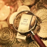A collection of Bitcoin Gold coins 