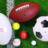 various sports balls