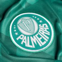  Sociedade Esportiva Palmeiras kit