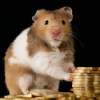 A hamster with gold coins