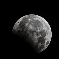 Dự đoán giá Lunar 