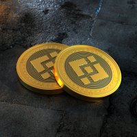Two BNB coins 