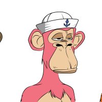 Bored Ape Yacht Club NFTs showing three individual designs lined up in a row. The left ape is traditional, the middle one is pink and wears a sailor's cap and the right ape has orange and yellow striped fur