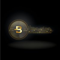 Bytecoin image in a golden key, indicating privacy – Photo: shutterstock