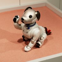 A Sony Aibo robot dog raising its paw to give a high five in a Sony showroom