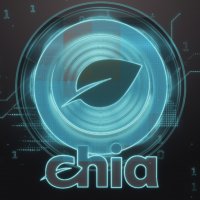 Chia coin explained