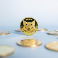A Shiba Inu coin standing on its edge