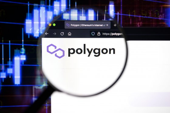 Polygon company logo on a website