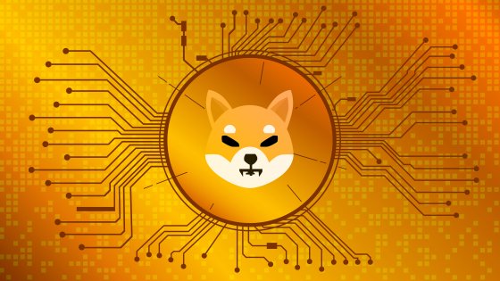 Криптовалюта Shiba Inu: история создания и отличие от Doge