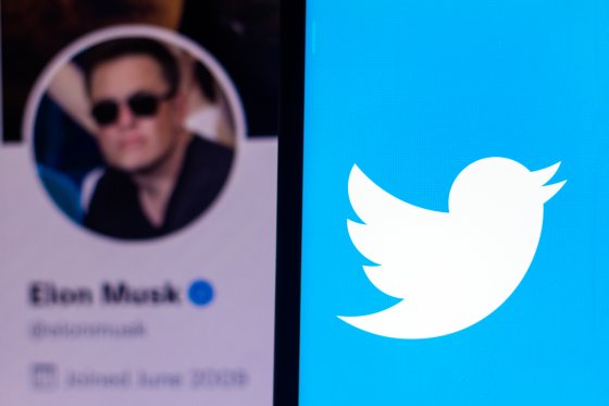 Twitter logo with Elon Musk’s profile in the background