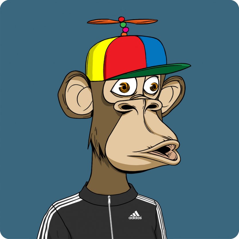 A Bored Ape Yacht Club character wearing an Adidas tracksuit