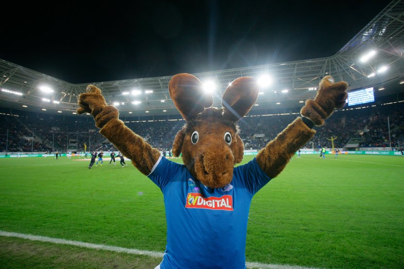 Hoffi, mascot of TSG Hoffenheim, raises his arms in the air in front of the stadium’s playing field