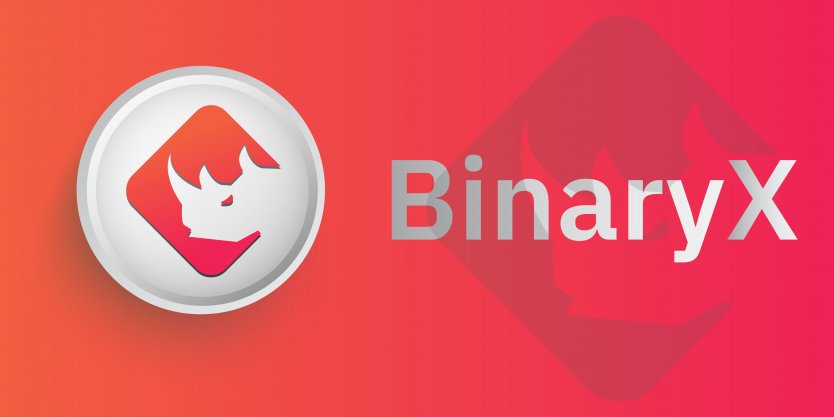 The BinaryX logo on a red background