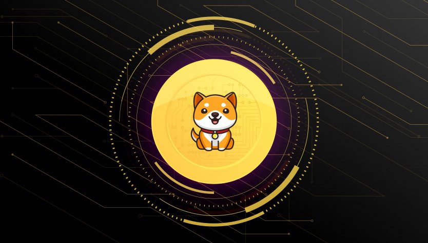 The BabyDoge logo on a gold and black background