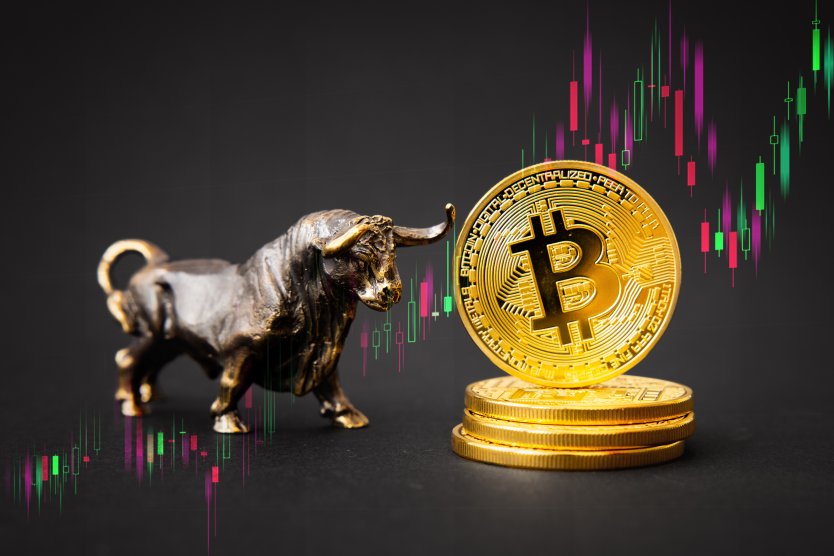 Bitcoin and bull