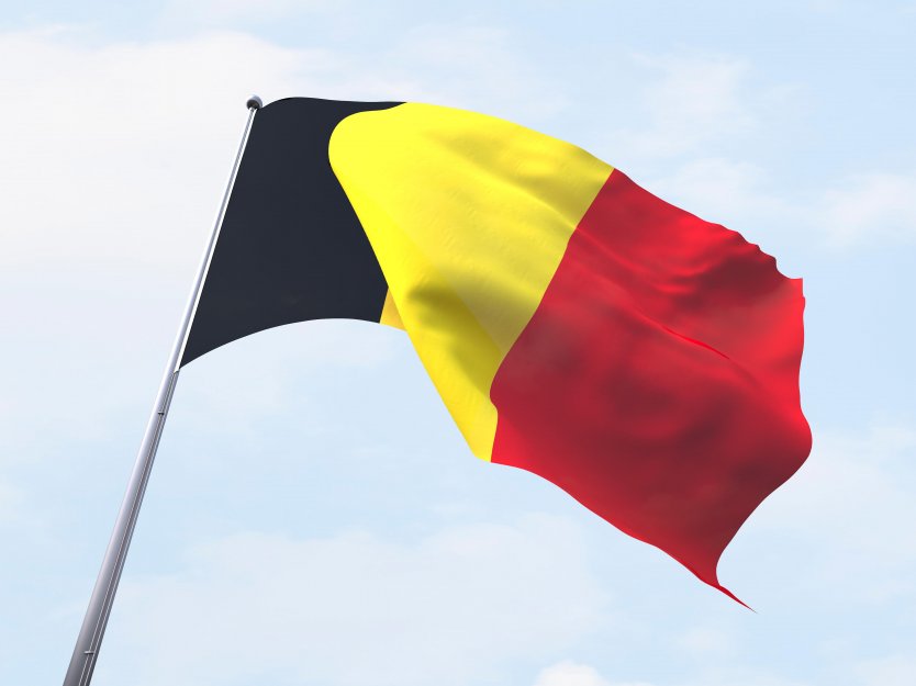 Belgium flag flying on clear sky