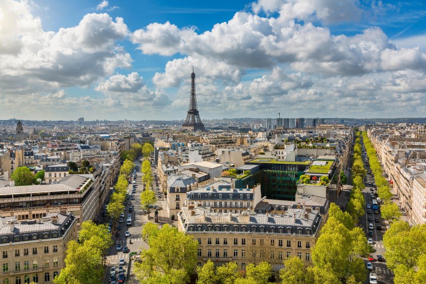 Skyline of Paris featuring the Eiffel Tower