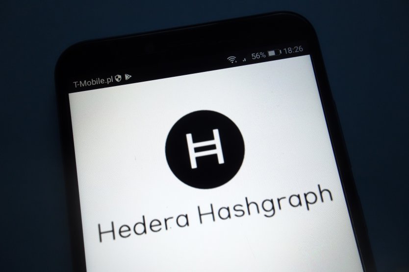 Hedera logo on a mobile phone