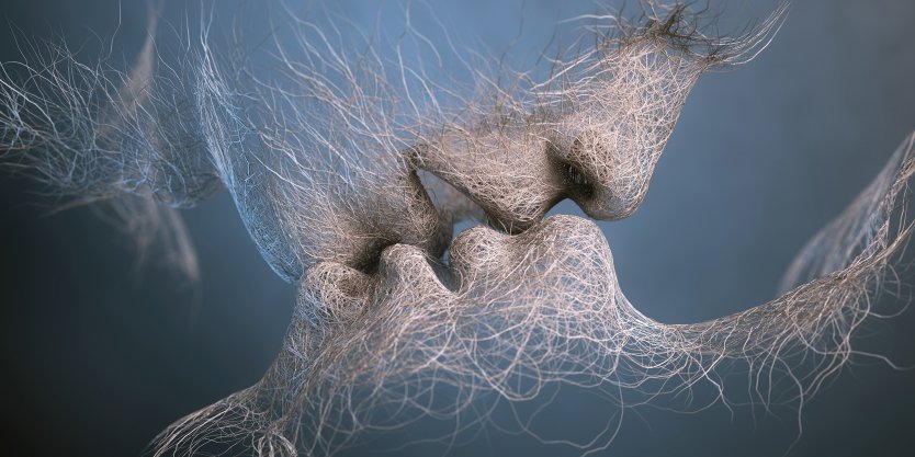 Two spectres kissing, showing nerve structures running through face – Photo: hofa.io
