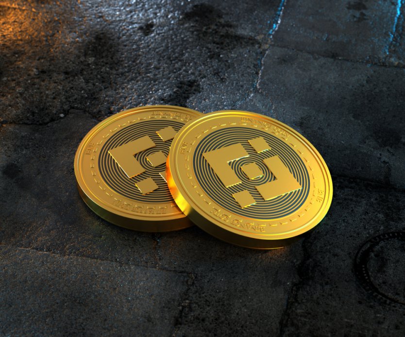 Two BNB coins 