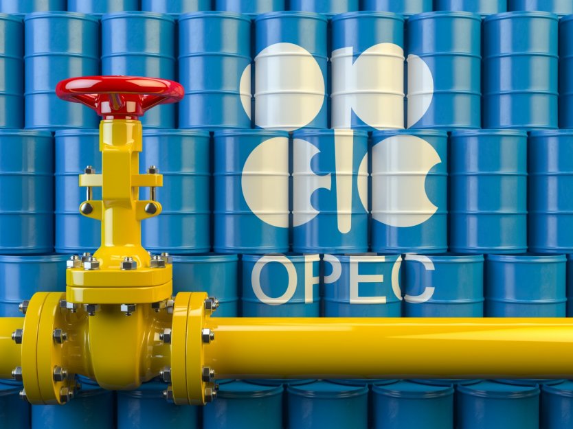 ОПЕК ухудшила прогноз падения спроса на нефть на 2020