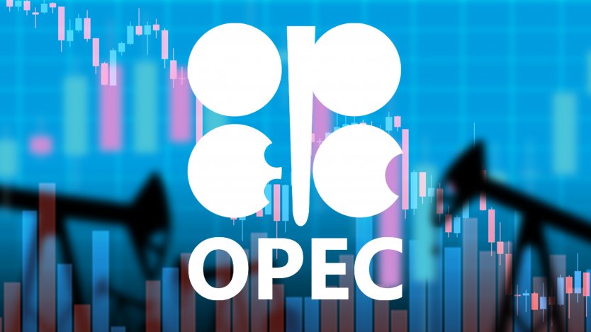 ОПЕК+ сохранит темпы наращивания добычи нефти в феврале