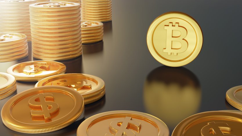 digital dollar vs bitcoin