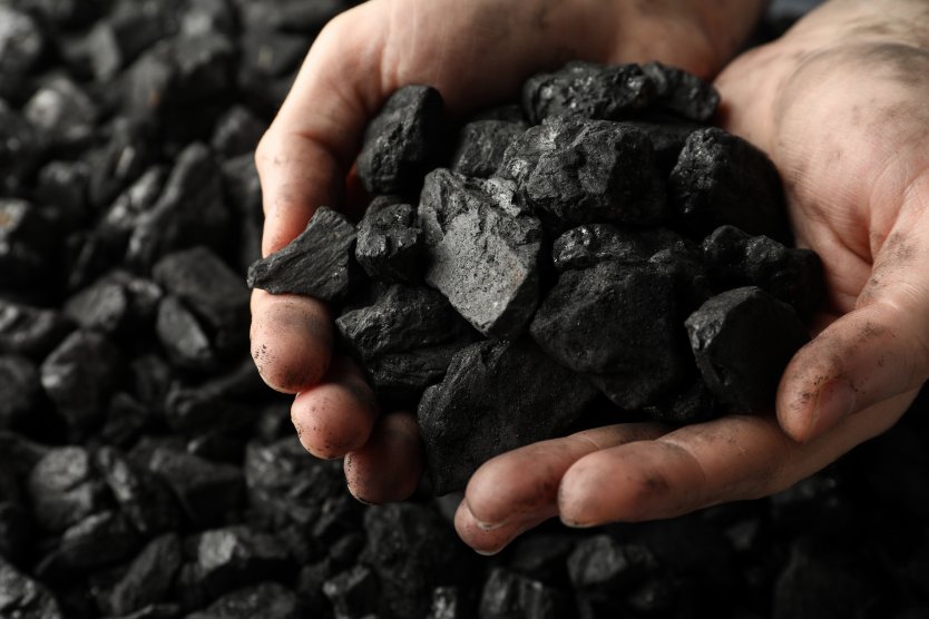 Минэнерго: Европа пока не обращалась к России за дополнительными поставками угля