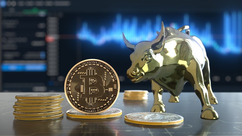 Bitcoin next to gold bull, stock chart in background – Photo: Shutterstock