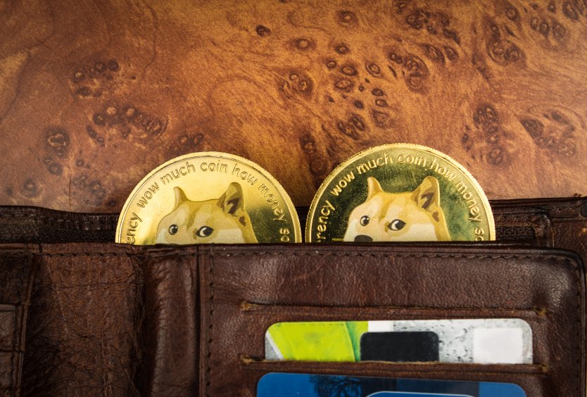 Two Dogecoins, featuring a Shiba Inu dog, inside a wallet