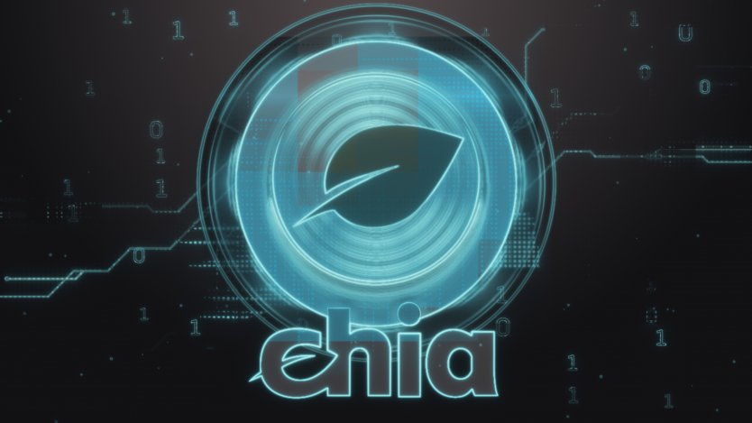 Chia coin explained