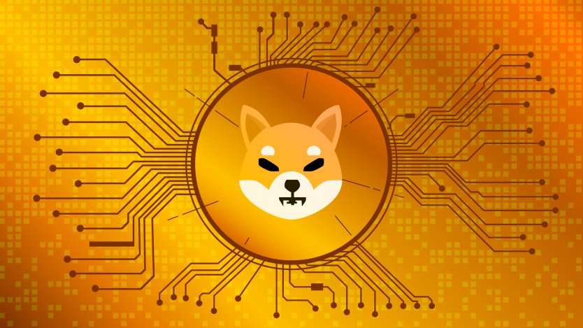 Shiba Inu (SHIB) cryptocurrency symbol showing the dog logo on a gold coin in front of a circuit board background