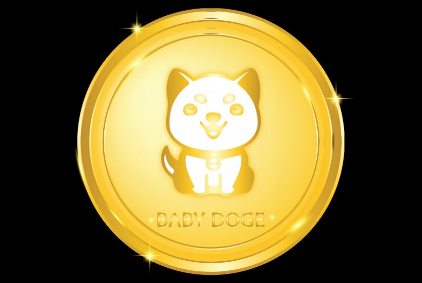 Floki Inu coin, showing the 'Baby Doge' image on a gold disc against a black background