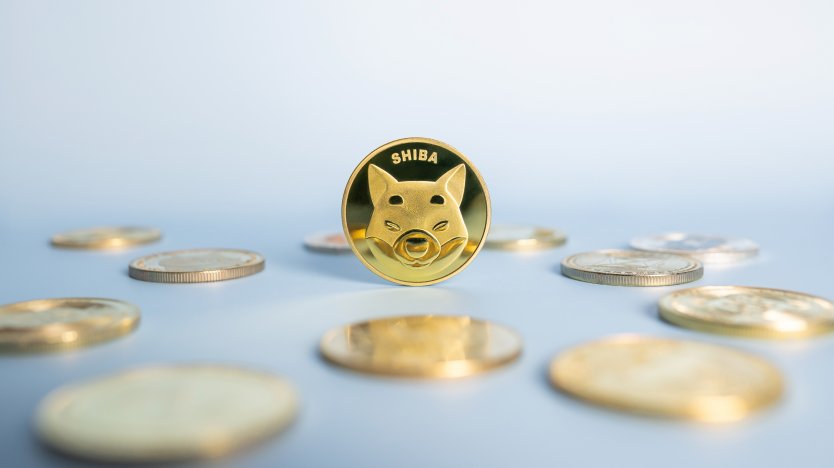 Shiba Inu coins