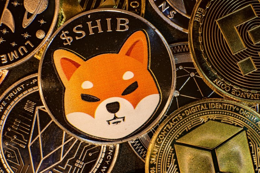 Representation of a SHIB coin featuring a shiba inu cartoon dog’s face surrounded by other cryptocurrencies