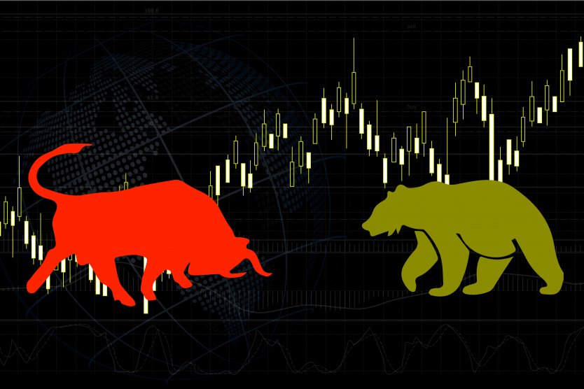  Bear market vs bull market
