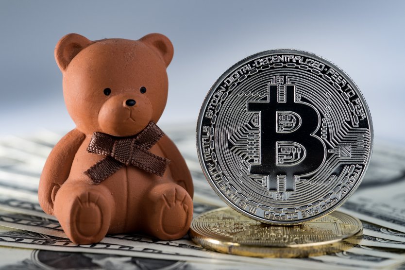 Teddy bear next to silver Bitcoin, sitting on US dollar bills