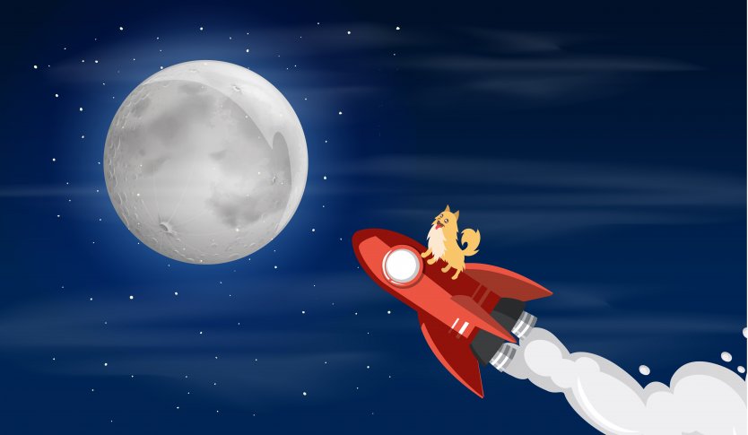 Illustration of dog riding a rocket to the moon